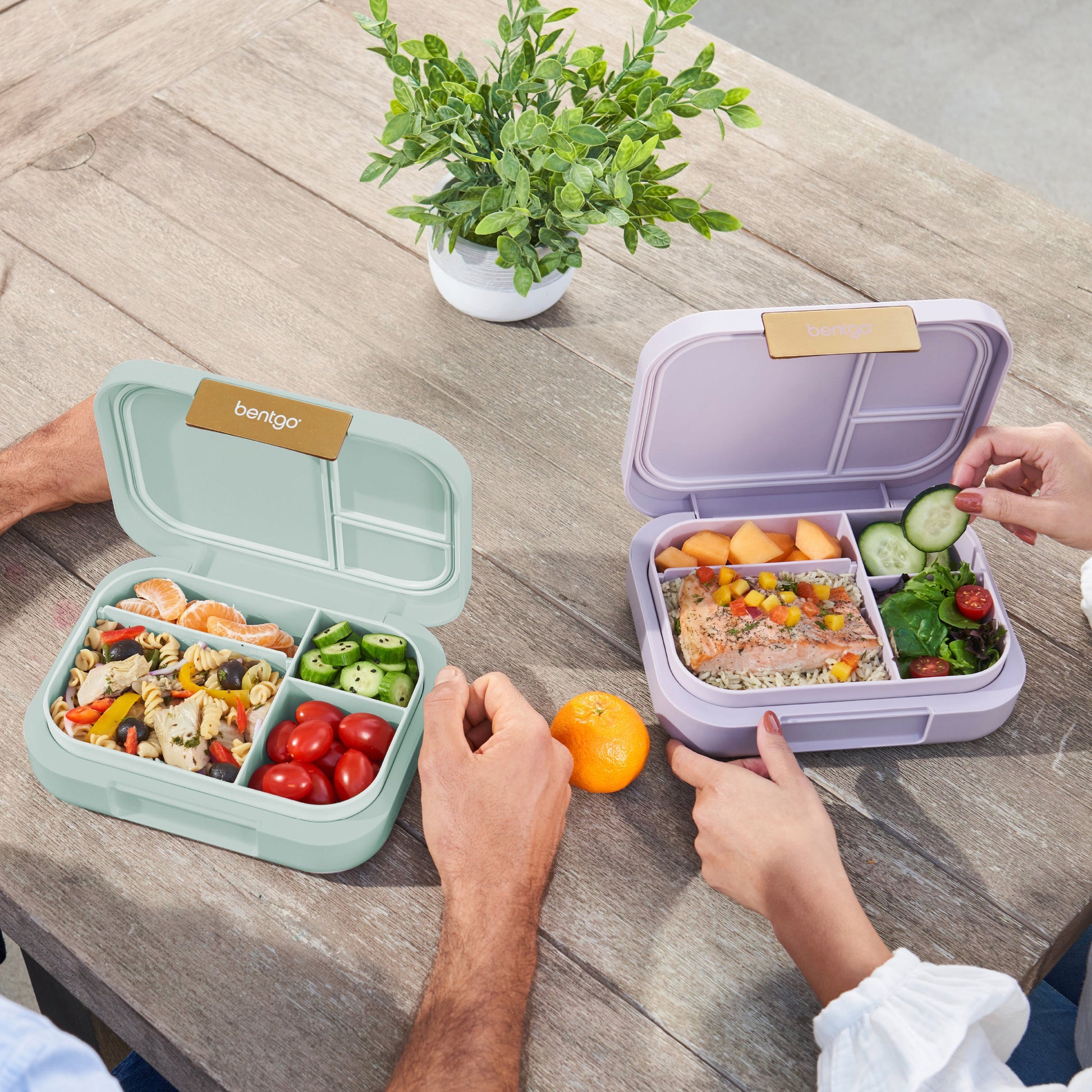 bentgo-modern-lunch-box-2-pack-o3 COSTCOBMCPRODUCTIMAGE_2.jpg